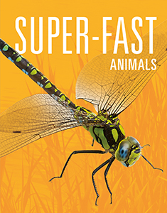 Cover Art for Super-Fast Animals