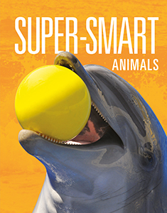 Cover Art for Super-Smart Animals