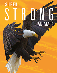 Cover Art for Super-Strong Animals