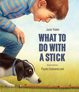 Cover Art for What to Do with a Stick