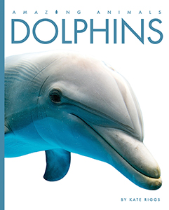 Cover Art for Dolphins