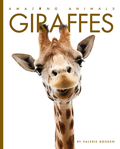Cover Art for Giraffes
