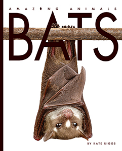 Cover Art for Bats