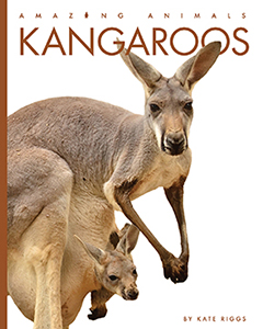 Cover Art for Kangaroos