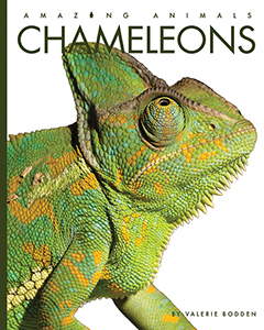 Cover Art for Chameleons