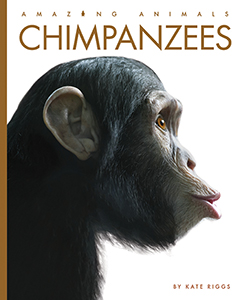 Cover Art for Chimpanzees