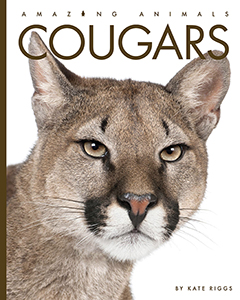 Cover Art for Cougars