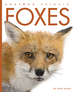 Cover Art for Foxes