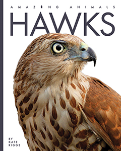 Cover Art for Hawks