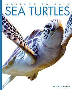 Cover Art for Sea Turtles