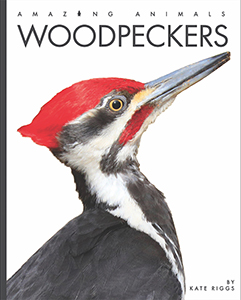 Cover Art for Woodpeckers
