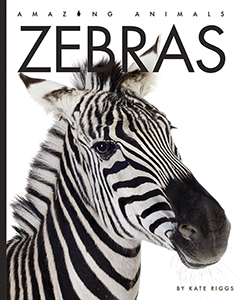 Cover Art for Zebras