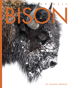 Cover Art for Bison