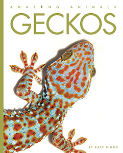 Cover Art for Geckos