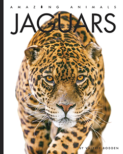 Cover Art for Jaguars
