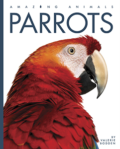 Cover Art for Parrots