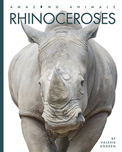 Cover Art for Rhinoceroses