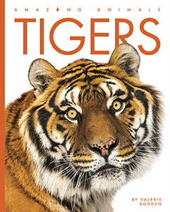 Cover Art for Tigers