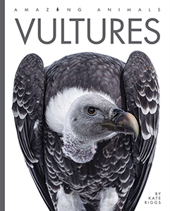 Cover Art for Vultures