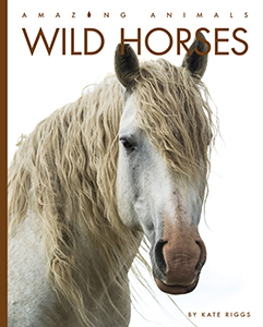 Cover Art for Wild Horses