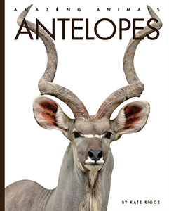 Cover Art for Antelopes