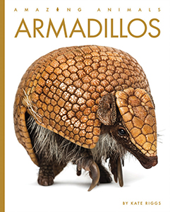 Cover Art for Armadillos