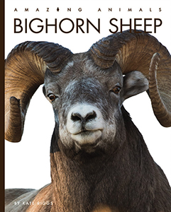 Cover Art for Bighorn Sheep