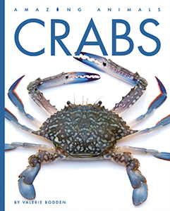 Cover Art for Crabs