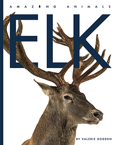 Cover Art for Elk