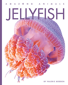 Cover Art for Jellyfish
