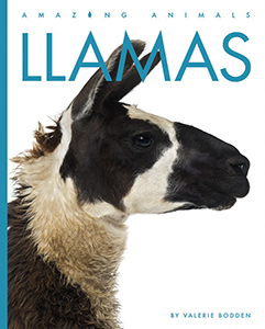 Cover Art for Llamas