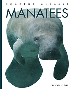 Cover Art for Manatees