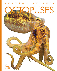 Cover Art for Octopuses