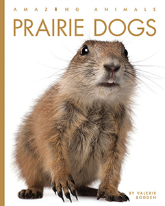 Cover Art for Prairie Dogs