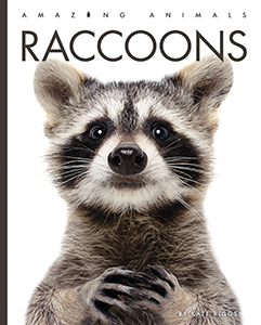 Cover Art for Raccoons