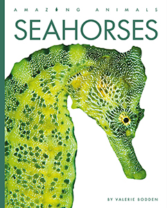 Cover Art for Seahorses
