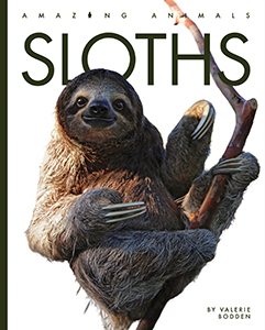 Cover Art for Sloths