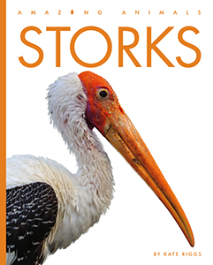 Cover Art for Storks