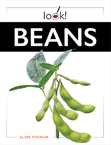 Cover Art for Beans