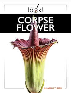 Cover Art for Corpse Flower