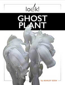 Cover Art for Ghost Plant