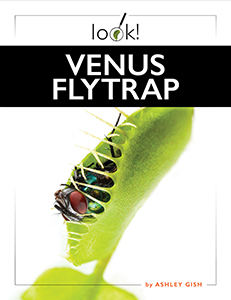 Cover Art for Venus Flytrap