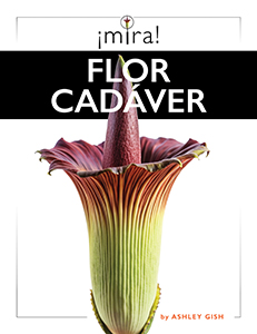 Cover Art for Flor cadaver