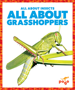 Cover Art for All About Grasshoppers