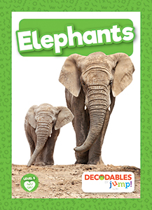 Cover Art for Elephants