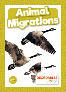 Cover Art for Animal Migrations