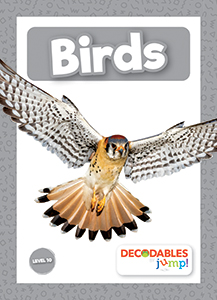 Cover Art for Birds