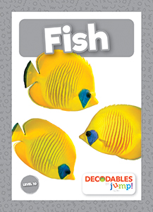 Cover Art for Fish