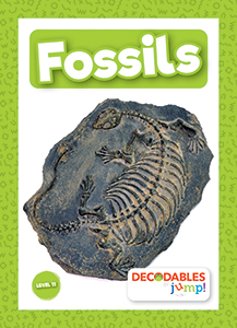 Cover Art for Fossils