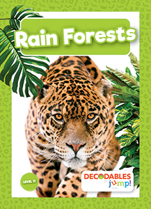 Cover Art for Rain Forests